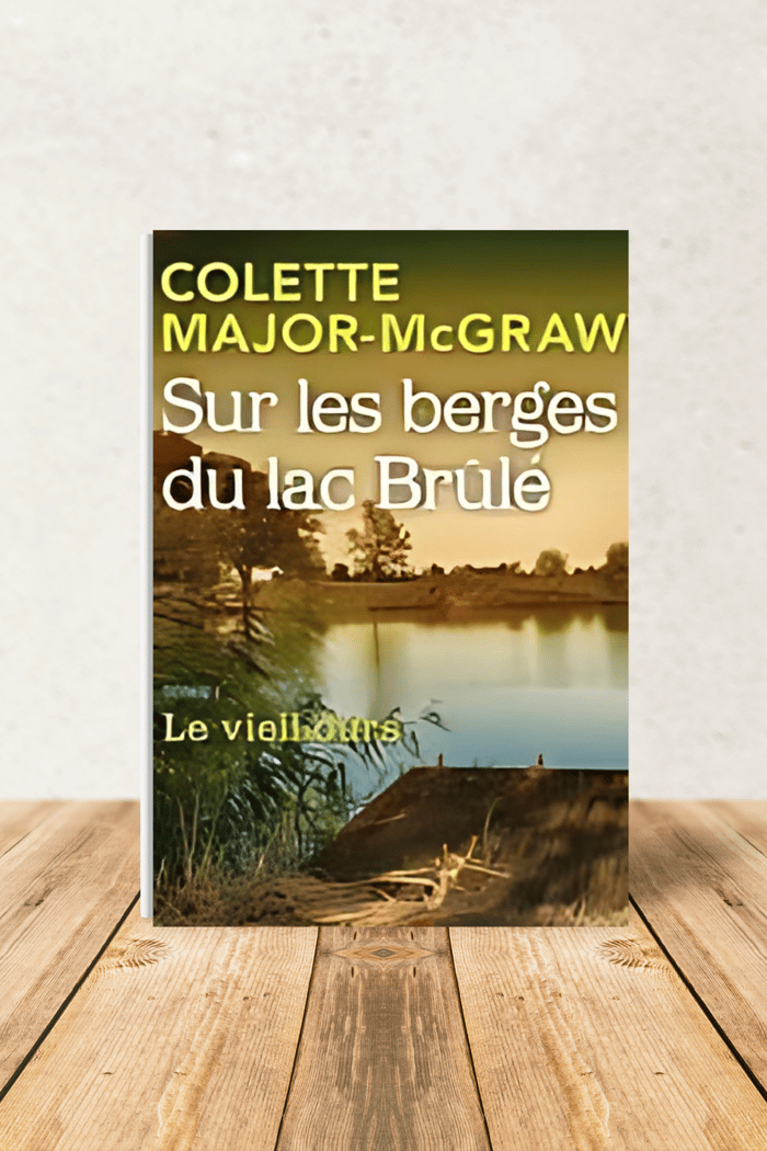 SUR LES BERGES DU LAC BRÛLÉ, TOME 1: LE VIEIL OURS image