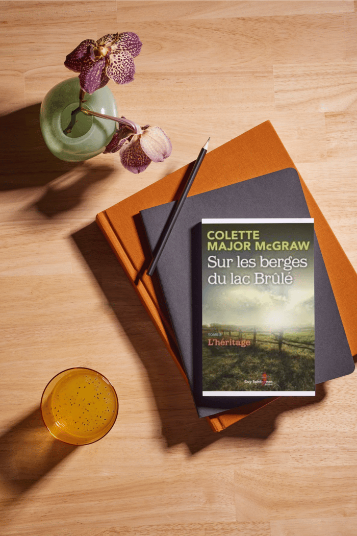 SUR LES BERGES DU LAC BRÛLÉ, TOME 2: ENTRE LA VILLE ET LA CAMPAGNE image